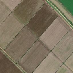 Satellite imagery of survey_point, DZ