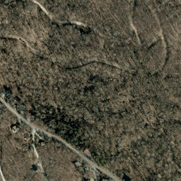 Satellite imagery of Forked Ridge, US