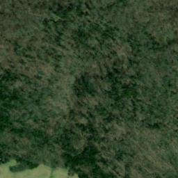 Satellite imagery of Dripping Rock Bluff, US