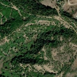 Satellite imagery of survey_point, DZ