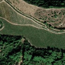 Satellite imagery of survey_point, DZ