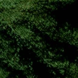 Satellite imagery of Ripshin Ridge, US