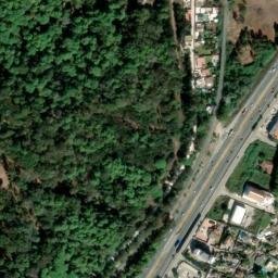Satellite imagery of survey_point, DZ