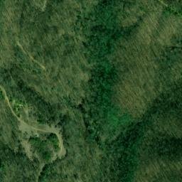 Satellite imagery of Root Hog Ridge, US