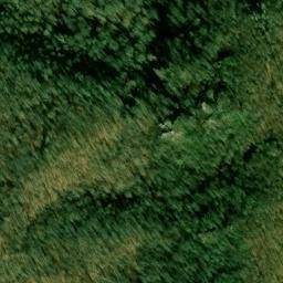 Satellite imagery of Ripshin Ridge, US