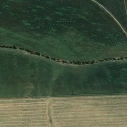 Satellite imagery of survey_point, DZ
