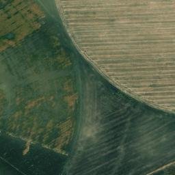 Satellite imagery of survey_point, DZ
