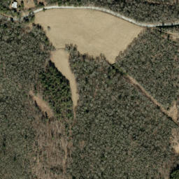 Satellite imagery of Buck Ridge, US