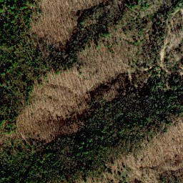 Satellite imagery of Dividing Ridge, US
