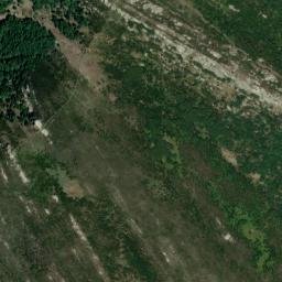 Satellite imagery of survey_point, DZ