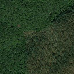 Satellite imagery of Paint Rock Bluff, US