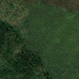 Satellite imagery of Pee Dee Ridge, US