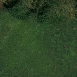Satellite imagery of Pee Dee Ridge, US