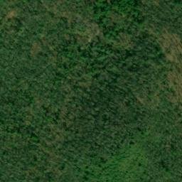 Satellite imagery of Bear Trail Ridge, US