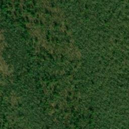 Satellite imagery of Bear Trail Ridge, US