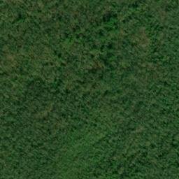 Satellite imagery of Bear Trail Ridge, US