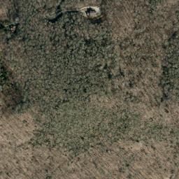 Satellite imagery of Horse Bottom Ridge, US