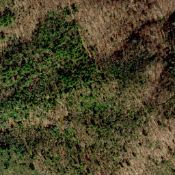 Satellite imagery of Dividing Ridge, US