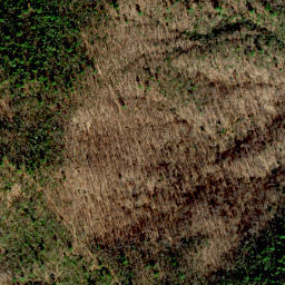 Satellite imagery of Dividing Ridge, US