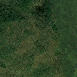 Satellite imagery of Pee Dee Ridge, US