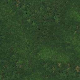 Satellite imagery of Pee Dee Ridge, US