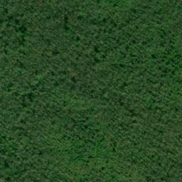 Satellite imagery of Bear Trail Ridge, US