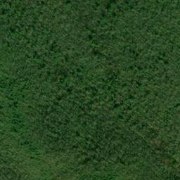 Satellite imagery of Bear Trail Ridge, US