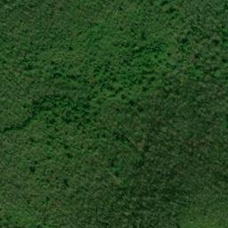 Satellite imagery of Bear Trail Ridge, US