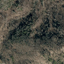 Satellite imagery of Elk Ridge, US