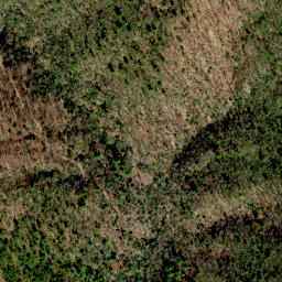 Satellite imagery of Dividing Ridge, US