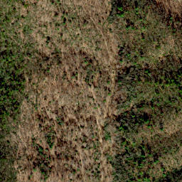 Satellite imagery of Dividing Ridge, US