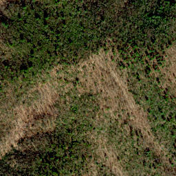Satellite imagery of Dividing Ridge, US