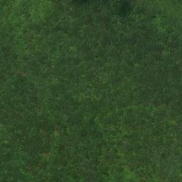 Satellite imagery of Upper Peedee Mine, US