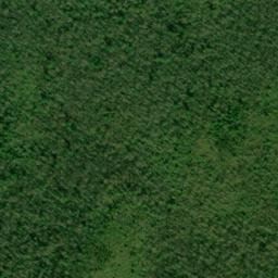 Satellite imagery of Bear Trail Ridge, US