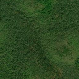 Satellite imagery of Bear Trail Ridge, US