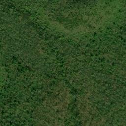 Satellite imagery of Bear Trail Ridge, US