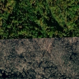 Satellite imagery of Bear Ridge, US