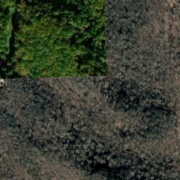 Satellite imagery of Bear Ridge, US