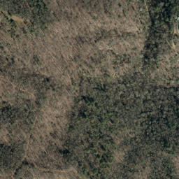 Satellite imagery of Elk Ridge, US