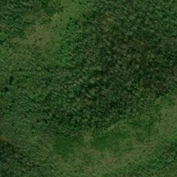 Satellite imagery of Bear Trail Ridge, US