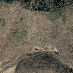 Satellite imagery of Bear Ridge, US