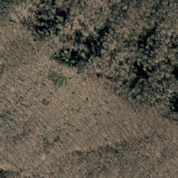 Satellite imagery of Bear Ridge, US