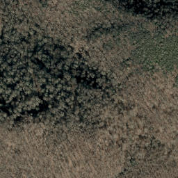 Satellite imagery of Bear Ridge, US