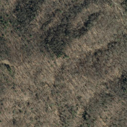 Satellite imagery of Elk Ridge, US