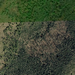 Satellite imagery of Rattlesnake Ridge, US