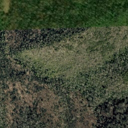 Satellite imagery of Rattlesnake Ridge, US