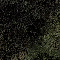 Satellite imagery of Stamping Ground Ridge, US