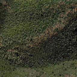 Satellite imagery of Stamping Ground Ridge, US