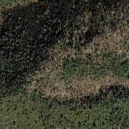 Satellite imagery of Stamping Ground Ridge, US