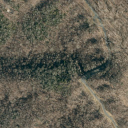 Satellite imagery of Blevins Ridge, US